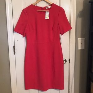 Pink short sleeve dress size 8